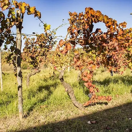 Sa Sermenta Casa vacanze *