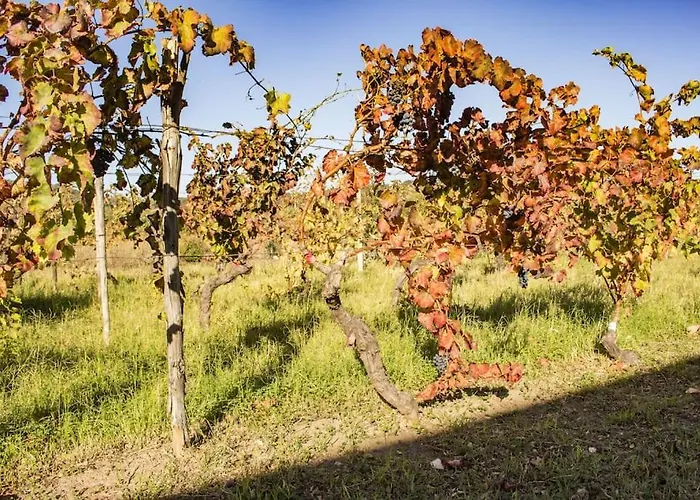 Sa Sermenta Casa de Férias *